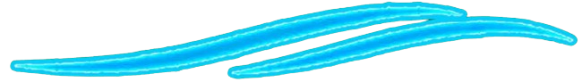 1f15c82fe6544536beafffb0cbd9e2ad.png