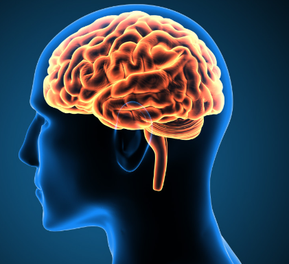 2ec4d9acf5f64f336e400d99b9b8f771.png