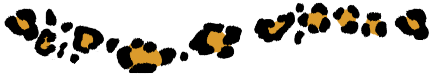 4195deaa23c6c8b024c9951fc9f5f297.png