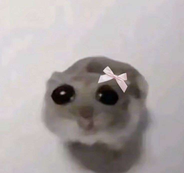4e749e01a2c392b90c42d0c0da4ff756.png