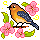 67eee3977a9cb3.49506902.gif
