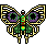 6807800558cf25.75841512.gif