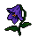 683e3153901c93.14912330.gif