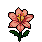 683e3157c0f721.11287873.gif