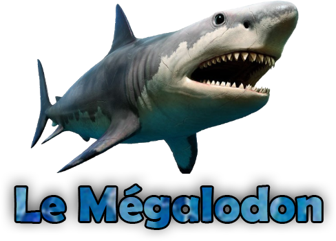 873d8b3fe7e14bf4efdbf6bec010b83d.png