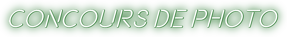 9548d1f889715a96c0c137cd6180709b.png