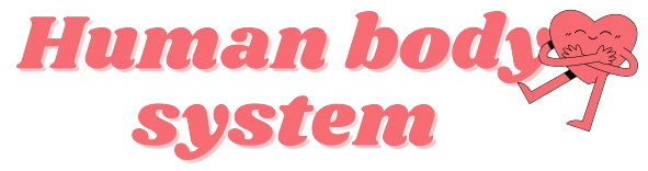 a5438d657f95fd5b169b1262866c41c8.png
