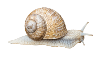 b93962187369144d33f033b3169c57c6.png