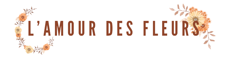 cdf9a672e6fdaa201c725d755678e547.png