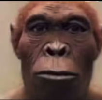 dad7a140f7ff28545ad3d1480c32fe27.png