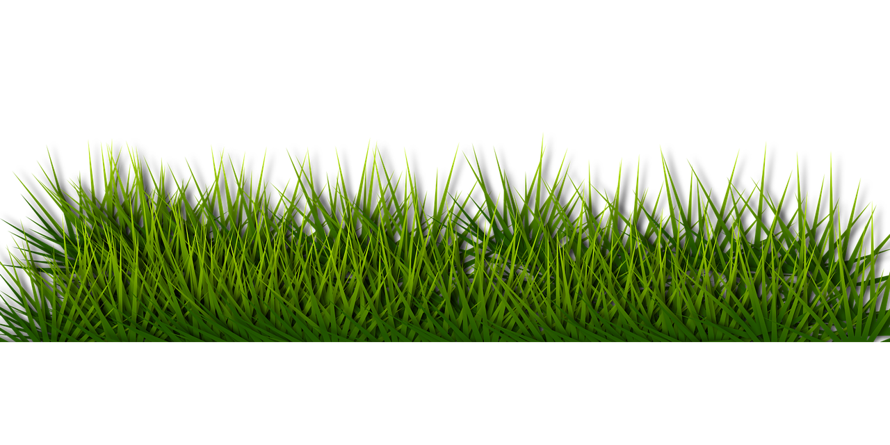 eef51a4a43647f3bad668ab30fa19368.png